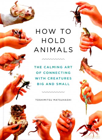 How to Hold Animals - Toshimitsu Matsuhashi [KSIĄŻKA]