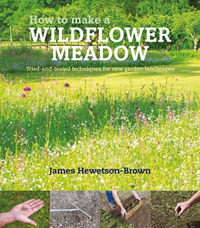 How to Make a Wildflower Meadow: Tried-And-Tested Techniques That Really Work: Tried-And-Tested Techniques for New Garden Landscapes - James Hewetson-Brown [KSIĄŻKA]