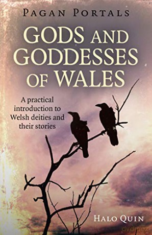 Pagan Portals - Gods And Goddesses Of Wales - A Practical Introduction To Welsh Deities And Their Stories - Halo Quin [KSIĄŻKA]