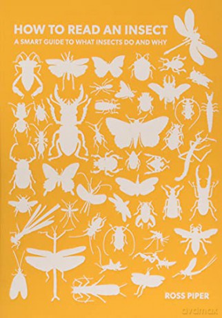 How to Read an Insect: A Smart Guide to What Insects Do and Why - Dr Ross Piper [KSIĄŻKA]