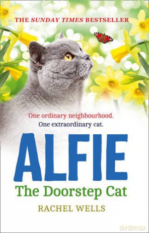 Alfie The Doorstep Cat: The Sunday Times Bestseller And Perfect Stocking Filler: Book 1 (Alfie Series) - Rachel Wells [KSIĄŻKA]