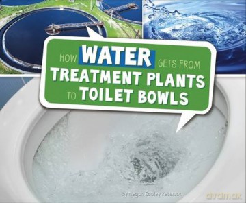 How Water Gets from Treatment Plants to Toilet Bowls Here to There - Megan Cooley Peterson [KSIĄŻKA]