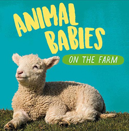On The Farm (Animal Babies) - Sarah Ridley [KSIĄŻKA]