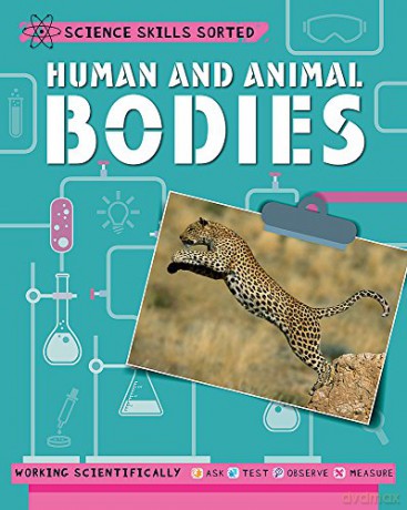 Human and Animal Bodies Science Skills Sorted! - Angela Royston [KSIĄŻKA]