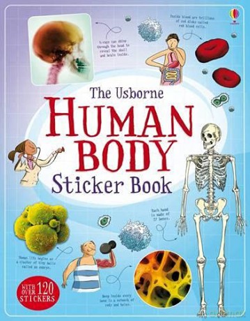 Human Body Sticker Book Information Sticker Books - Alex Frith [KSIĄŻKA]