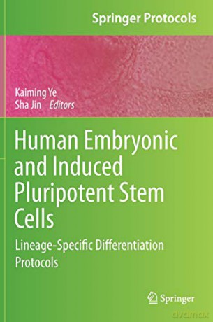 Human Embryonic and Induced Pluripotent Stem Cells: Lineage-Specific Differentiation Protocols Springer Protocols Handbooks - Kaiming Ye [KSIĄŻKA]