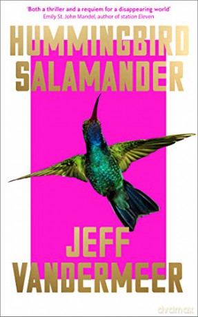 Hummingbird Salamander: Jeff Vandermeer - Jeff VanderMeer [KSIĄŻKA]