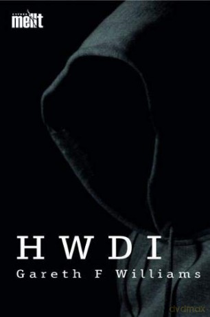 Hwdi Cyfres Mellt - Gareth F. Williams [KSIĄŻKA]