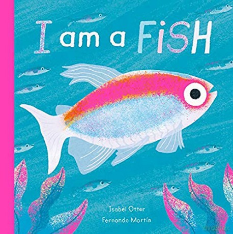 I am a Fish - Isabel Otter [KSIĄŻKA]