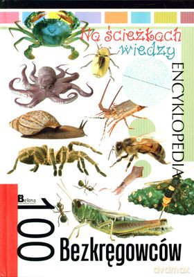 Na Ścieżkach Wiedzy 100 Bezkręgowców Encyklopedia (twarda) [KSIĄŻKA]