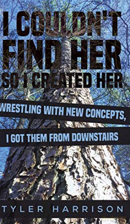 I Couldn't Find Her So I Created Her - Tyler Harrison [KSIĄŻKA]