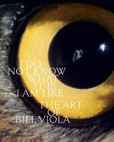 I Do Not Know What It Is I Am Like: The Art of Bill Viola - John Hanhardt [KSIĄŻKA]