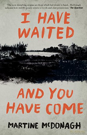 I Have Waited, and You Have Come - Martine McDonagh [KSIĄŻKA]