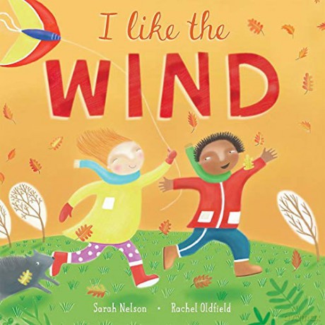 I Like the Wind: 1 I Like the Weather - Sarah Nelson [KSIĄŻKA]