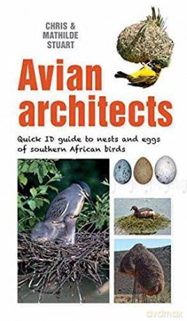 Avian Architects: Quick Id Guide To Nests And Eggs Of Southern African Birds (Quick Id Guides) - Mathilde Stuart [KSIĄŻKA]