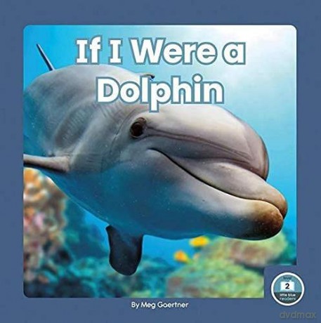 If I Were a Dolphin 9781646193011 - Meg Gaertner [KSIĄŻKA]