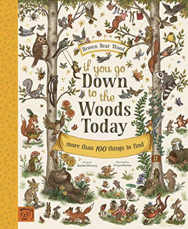 If You Go Down to the Woods Today: More than 100 things to find - Rachel Piercey [KSIĄŻKA]