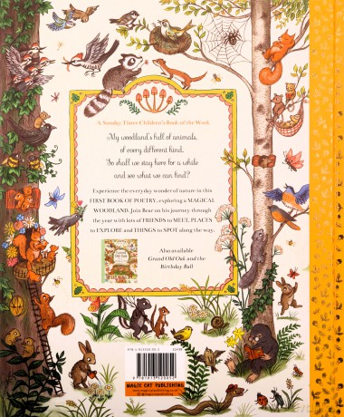 If You Go Down to the Woods Today: More than 100 things to find - Rachel Piercey [KSIĄŻKA]