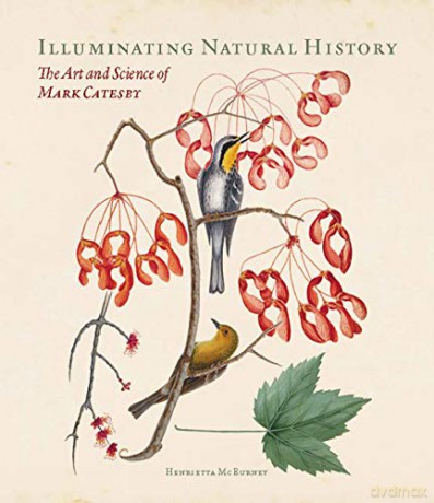 Illuminating Natural History - The Art and Science of Mark Catesby - Henrietta Mcburney [KSIĄŻKA]