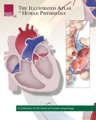 Illustrated Atlas of Human Physiology: A Collection of 20 Anatomical Charts of Human Physiology [KSIĄŻKA]