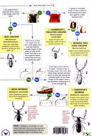 Illustrated Key to the British False Scorpions: Pseudoscorpions - Gerald Legg [KSIĄŻKA]