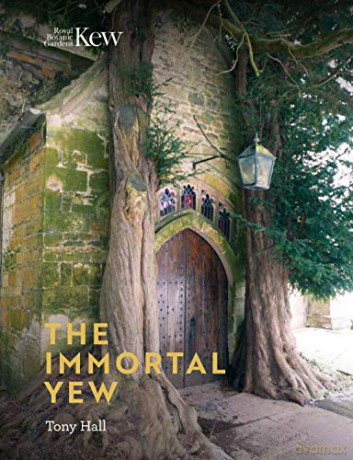 Immortal Yew, The - Tony Hall [KSIĄŻKA]