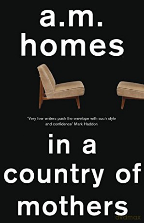 In a Country Of Mothers - A.M. Homes [KSIĄŻKA]