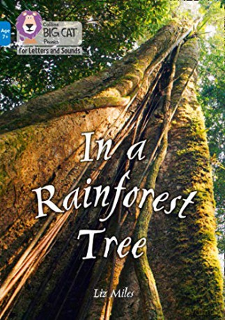 In a Rainforest Tree: Band 04/Blue Collins Big Cat Phonics for Letters and Sounds - Age 7+ - Liz Miles [KSIĄŻKA]