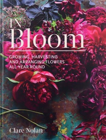 In Bloom: Growing, harvesting and arranging flowers all year round - Clare Nolan [KSIĄŻKA]