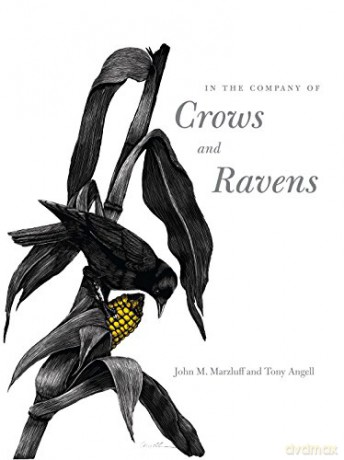 In the Company of Crows and Ravens - John M Marzluff [KSIĄŻKA]