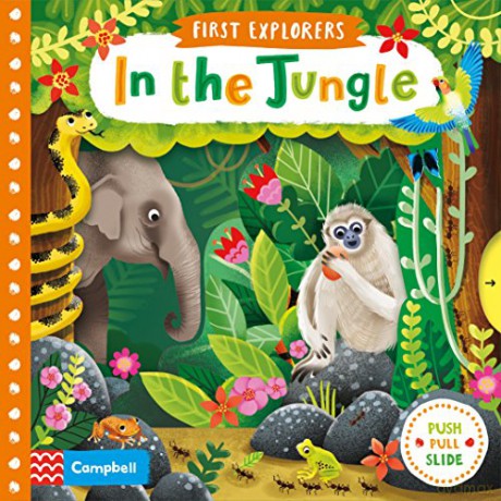 In the Jungle First Explorers - Jenny Wren [KSIĄŻKA]