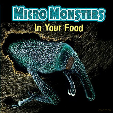 In Your Food Micro Monsters - Clare Hibbert [KSIĄŻKA]