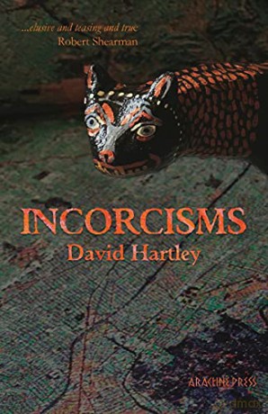 Incorcisms: Strange Short Stories - David Hartley [KSIĄŻKA]