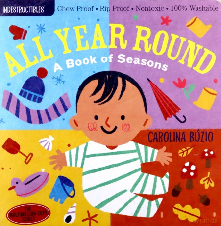 Indestructibles: All Year Round: A Book of Seasons: 1 - Amy Pixton [KSIĄŻKA]