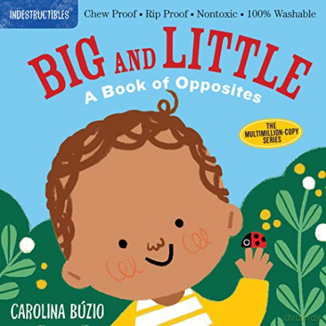 Indestructibles: Big and Little: Chew Proof E Rip Proof E Nontoxic E 100% Washable Book for Babies, Newborn Books, Safe to Chew - Amy Pixton [KSIĄŻKA]