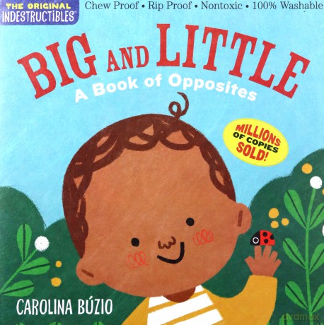 Indestructibles: Big and Little: Chew Proof E Rip Proof E Nontoxic E 100% Washable Book for Babies, Newborn Books, Safe to Chew - Amy Pixton [KSIĄŻKA]
