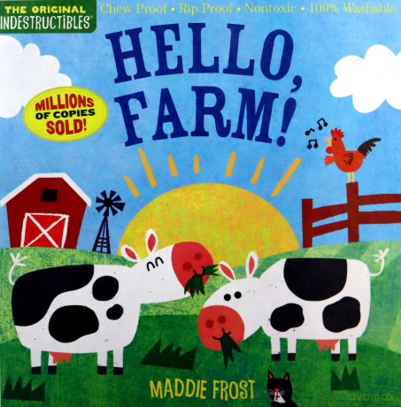 Indestructibles: Hello, Farm!: Chew Proof E Rip Proof E Nontoxic E 100% Washable Book for Babies, Newborn Books, Safe to Chew - Amy Pixton [KSIĄŻKA]