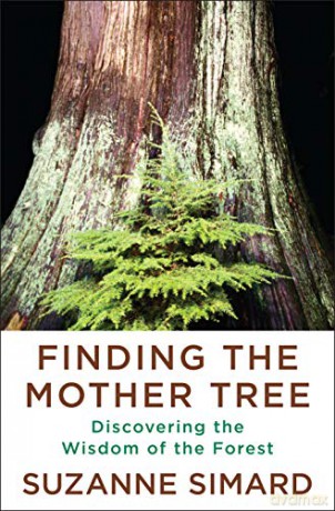 Finding The Mother Tree: Discovering How The Forest Is Wired For Intelligence And Healing - Simard Suzanne [KSIĄŻKA]