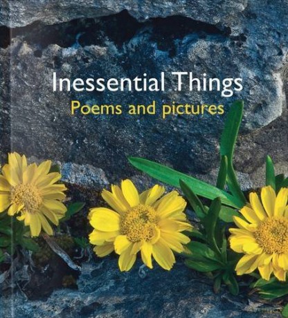 Inessential Things: Poems and Pictures Pictures to Share - Helen Bate [KSIĄŻKA]