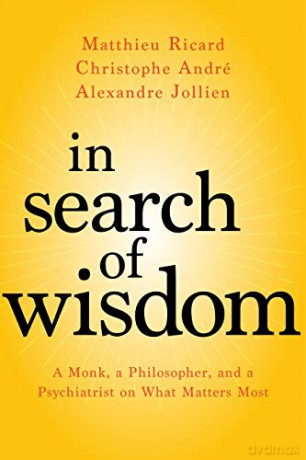 In Search Of Wisdom: A Monk, A Philosopher, And A Psychiatrist On What Matters Most - Christophe Andre [KSIĄŻKA]