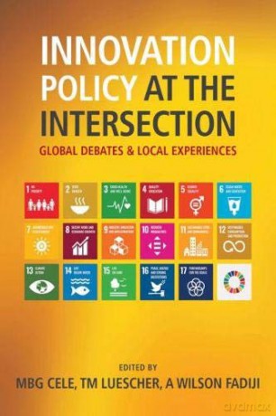 Innovation Policy at the Intersection: Global Debates and Local Experiences [KSIĄŻKA]
