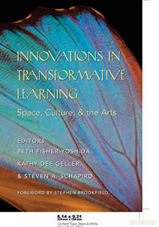 Innovations in Transformative Learning; Space, Culture, and the Arts- Foreword by Stephen Brookfield 341 Counterpoints: Studies in Criticality - Beth Fisher-Yoshida [KSIĄŻKA]