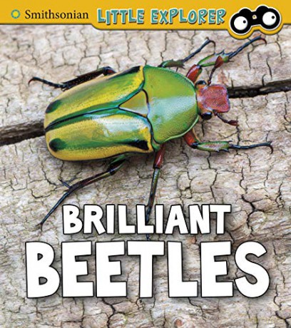 Insect Explorer: Brilliant Beetles - Melissa Higgins [KSIĄŻKA]