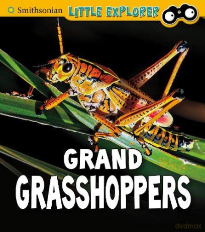 Insect Explorer: Grand Grasshoppers - Megan Cooley Peterson [KSIĄŻKA]