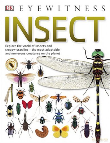 Insect: Explore the world of insects and creepy-crawlies - the most adaptable and numerous creatures on the planet DK Eyewitness - Dk [KSIĄŻKA]
