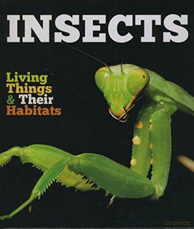 Insects Living Things and Their Habitats - race Jones [KSIĄŻKA]