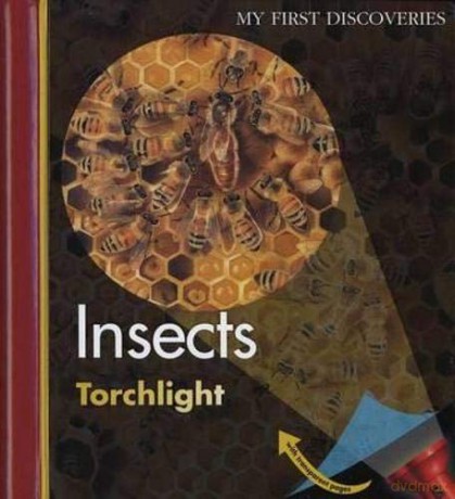 Insects My First Discoveries/Torchlight - Claude Delafosse [KSIĄŻKA]