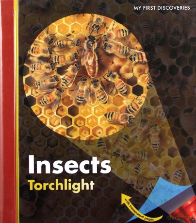 Insects My First Discoveries/Torchlight - Claude Delafosse [KSIĄŻKA]