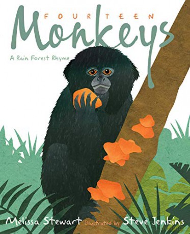 Fourteen Monkeys: A Rain Forest Rhyme - Melissa Stewart [KSIĄŻKA]