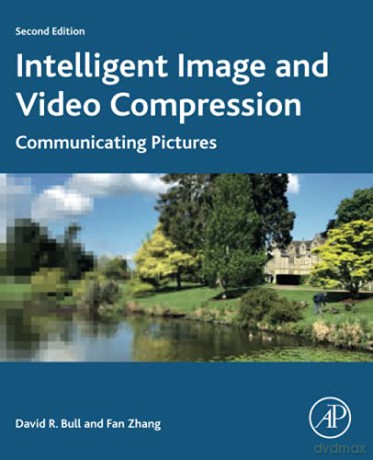 Intelligent Image and Video Compression: Communicating Pictures - David Bull [KSIĄŻKA]